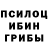 Галлюциногенные грибы GOLDEN TEACHER Kulipas