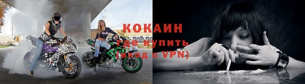 ГАЛЛЮЦИНОГЕННЫЕ ГРИБЫ Карпинск