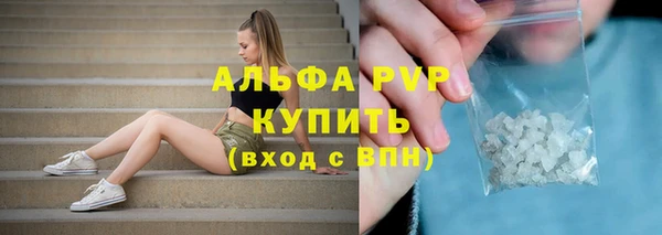 ГАЛЛЮЦИНОГЕННЫЕ ГРИБЫ Карпинск