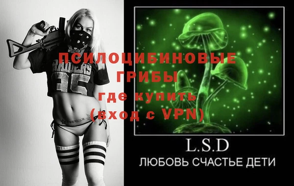 ГАЛЛЮЦИНОГЕННЫЕ ГРИБЫ Карпинск