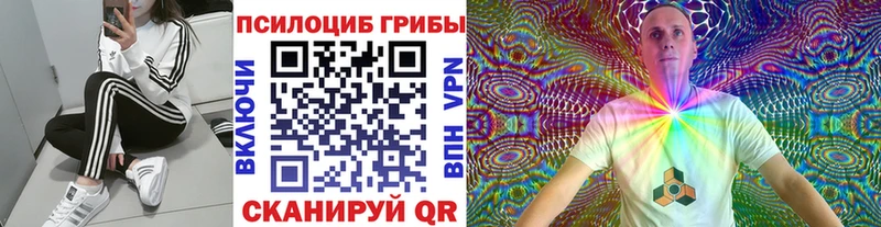 Галлюциногенные грибы Magic Shrooms  закладки  кракен маркетплейс  Урюпинск 