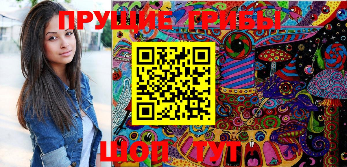 Урюпинск  Галлюциногенные грибы Psilocybine cubensis  Вход с VPN 